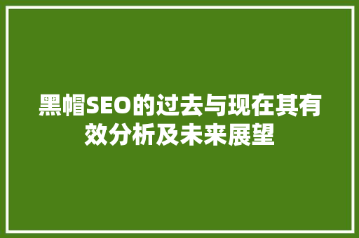 黑帽SEO的过去与现在其有效分析及未来展望