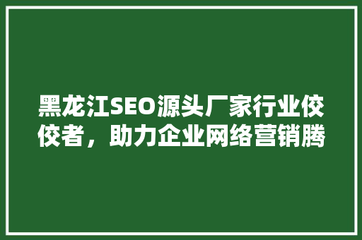 黑龙江SEO源头厂家行业佼佼者，助力企业网络营销腾飞