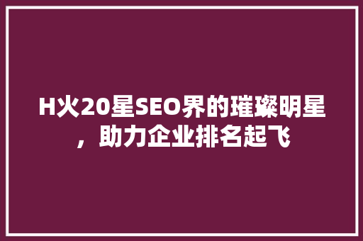 H火20星SEO界的璀璨明星，助力企业排名起飞