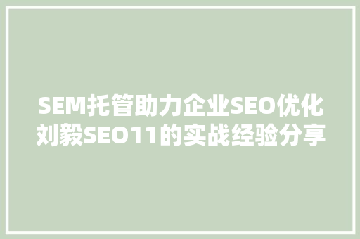 SEM托管助力企业SEO优化刘毅SEO11的实战经验分享