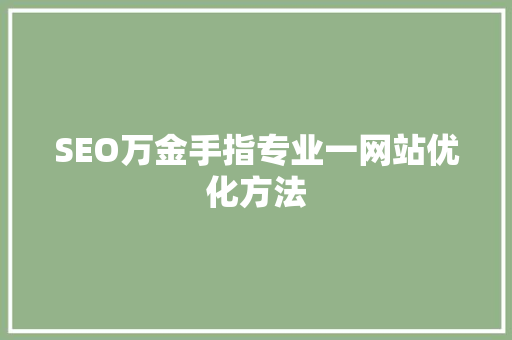 SEO万金手指专业一网站优化方法  第1张
