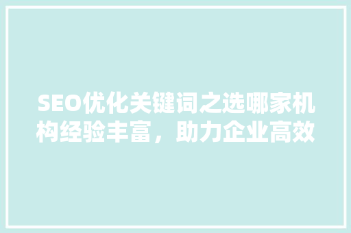SEO优化关键词之选哪家机构经验丰富，助力企业高效提升排名