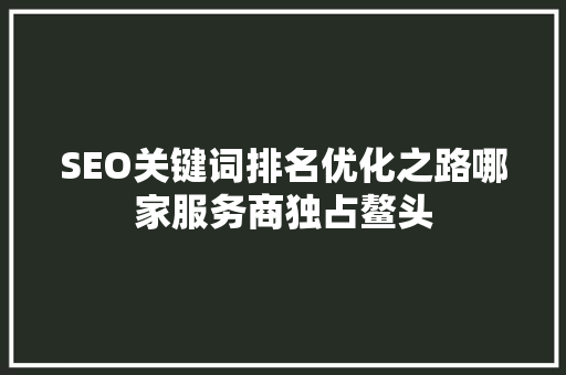 SEO关键词排名优化之路哪家服务商独占鳌头