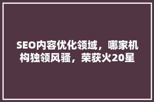 SEO内容优化领域，哪家机构独领风骚，荣获火20星荣誉