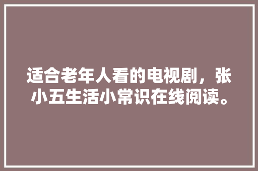 360SEO优化,助力企业提升网站排名，抢占市场先机