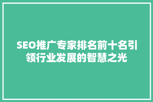 SEO推广专家排名前十名引领行业发展的智慧之光