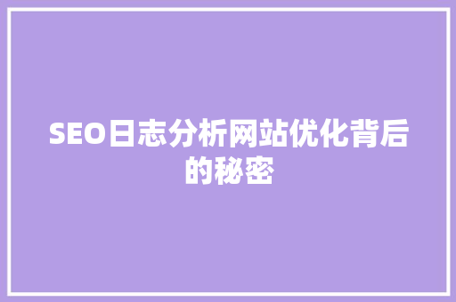 SEO日志分析网站优化背后的秘密