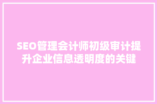 SEO管理会计师初级审计提升企业信息透明度的关键