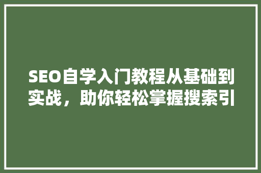 SEO自学入门教程从基础到实战，助你轻松掌握搜索引擎优化