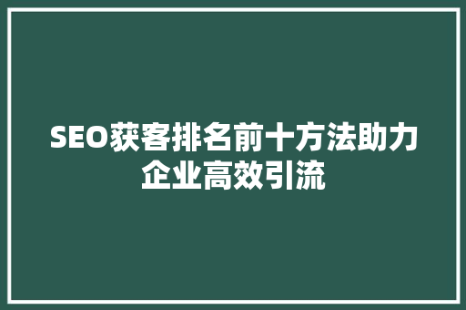 SEO获客排名前十方法助力企业高效引流