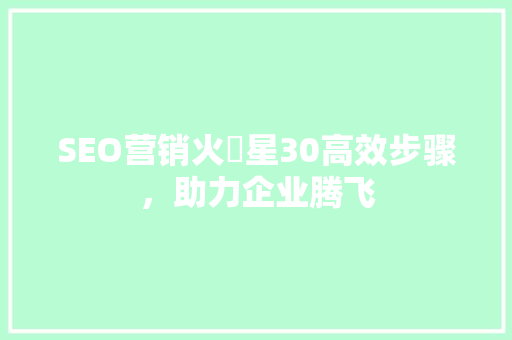 SEO营销火乛星30高效步骤，助力企业腾飞