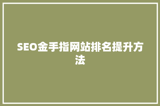 SEO金手指网站排名提升方法