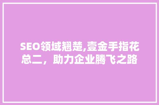SEO领域翘楚,壹金手指花总二，助力企业腾飞之路