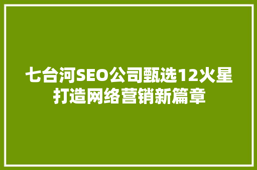 七台河SEO公司甄选12火星打造网络营销新篇章