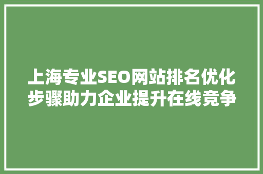 上海专业SEO网站排名优化步骤助力企业提升在线竞争力