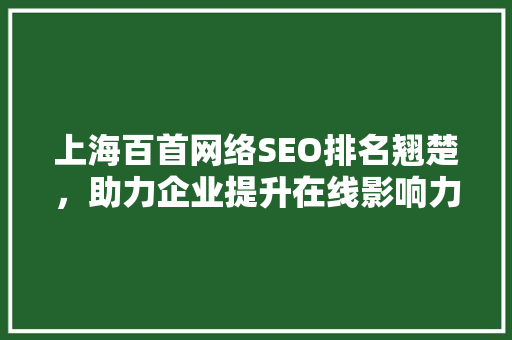 上海百首网络SEO排名翘楚，助力企业提升在线影响力