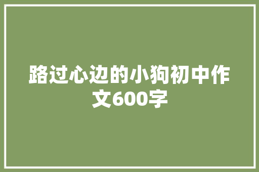 中山SEO啦行者SEO02,介绍SEO优化之路，助力企业腾飞