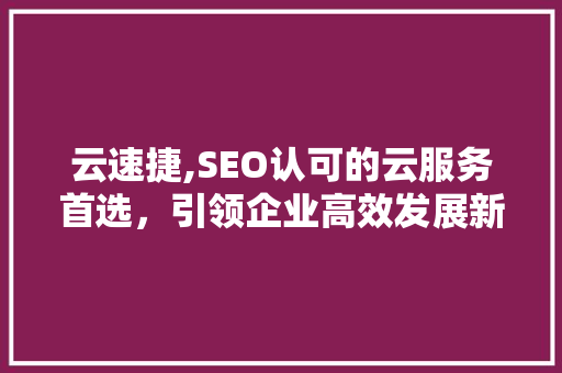 云速捷,SEO认可的云服务首选，引领企业高效发展新篇章