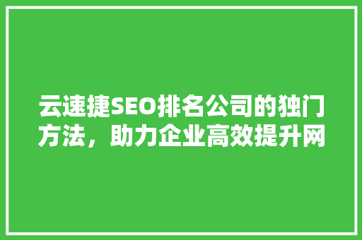 云速捷SEO排名公司的独门方法，助力企业高效提升网站流量