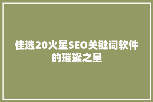 佳选20火星SEO关键词软件的璀璨之星