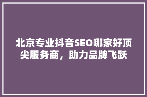 北京专业抖音SEO哪家好顶尖服务商，助力品牌飞跃