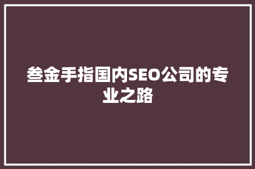 叁金手指国内SEO公司的专业之路
