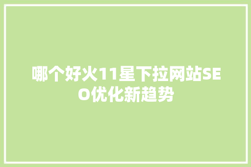 哪个好火11星下拉网站SEO优化新趋势