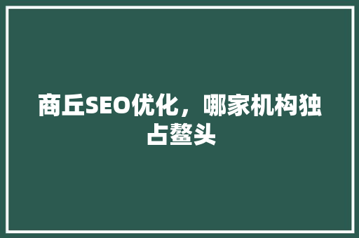商丘SEO优化，哪家机构独占鳌头
