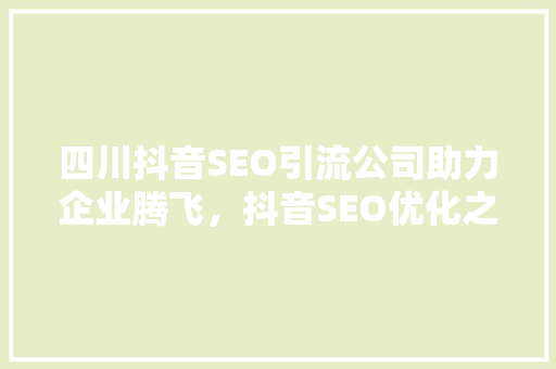 四川抖音SEO引流公司助力企业腾飞，抖音SEO优化之路