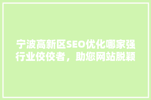 宁波高新区SEO优化哪家强行业佼佼者，助您网站脱颖而出