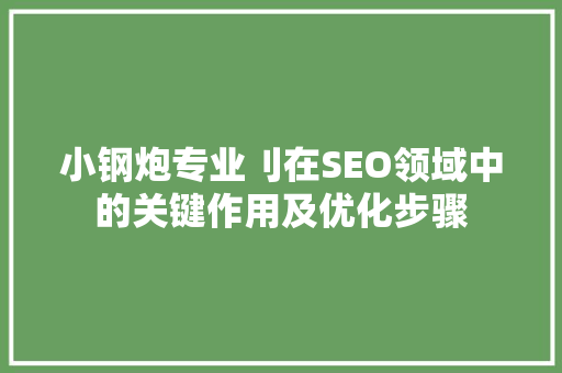 小钢炮专业刂在SEO领域中的关键作用及优化步骤