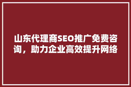 山东代理商SEO推广免费咨询，助力企业高效提升网络曝光度