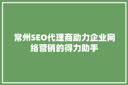 常州SEO代理商助力企业网络营销的得力助手
