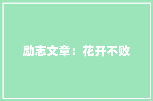 乐云SEO与夺高粱SEO的知心对话,介绍SEO优化背后的智慧与步骤