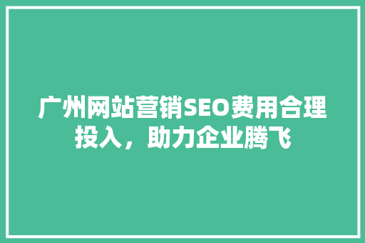 广州网站营销SEO费用合理投入，助力企业腾飞