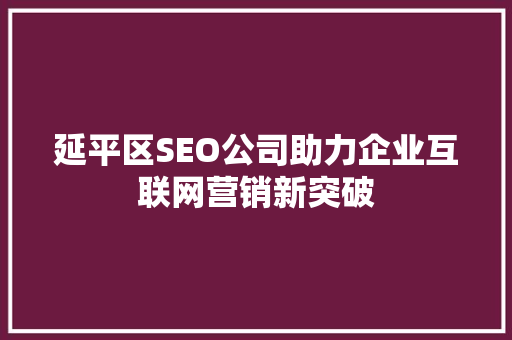 延平区SEO公司助力企业互联网营销新突破