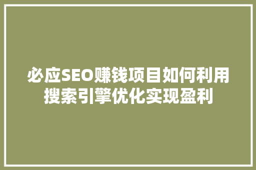 必应SEO赚钱项目如何利用搜索引擎优化实现盈利