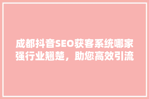 成都抖音SEO获客系统哪家强行业翘楚，助您高效引流