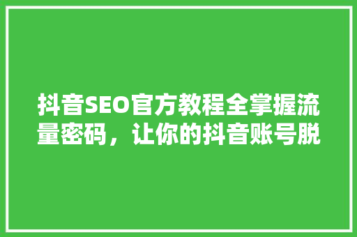 抖音SEO官方教程全掌握流量密码，让你的抖音账号脱颖而出