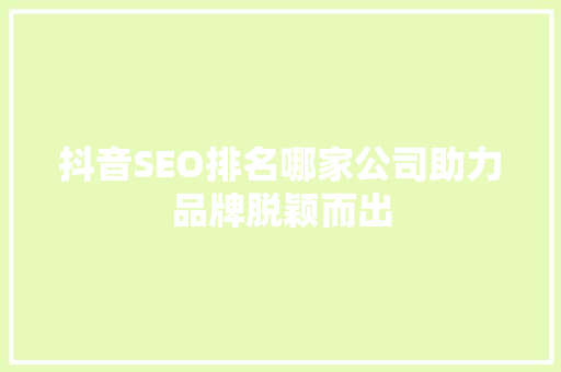 抖音SEO排名哪家公司助力品牌脱颖而出
