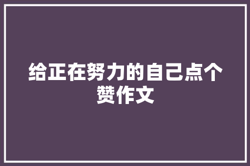 乐云SEO品牌,青岛SEO系统推荐的行业佼佼者