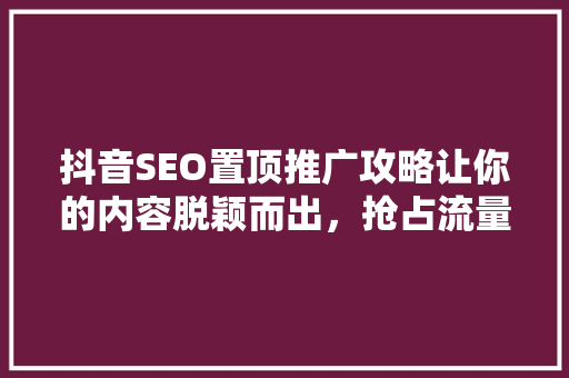 抖音SEO置顶推广攻略让你的内容脱颖而出，抢占流量高地