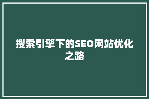 搜索引擎下的SEO网站优化之路
