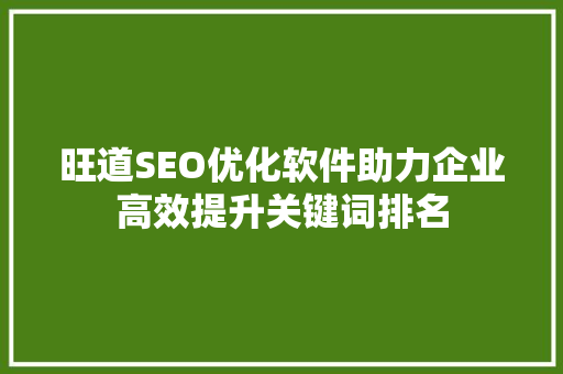 旺道SEO优化软件助力企业高效提升关键词排名