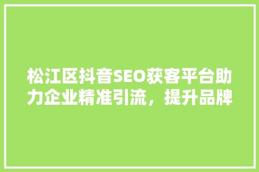 松江区抖音SEO获客平台助力企业精准引流，提升品牌影响力