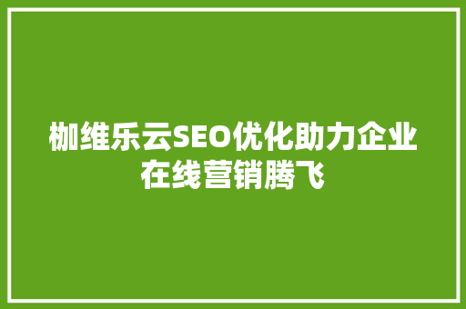 枷维乐云SEO优化助力企业在线营销腾飞