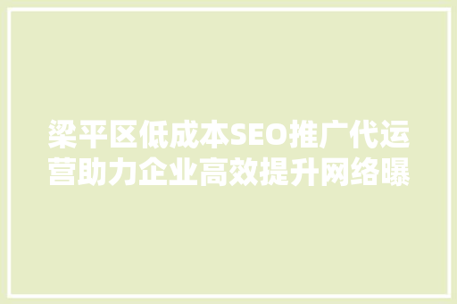 梁平区低成本SEO推广代运营助力企业高效提升网络曝光度