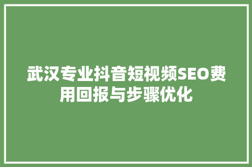 武汉专业抖音短视频SEO费用回报与步骤优化