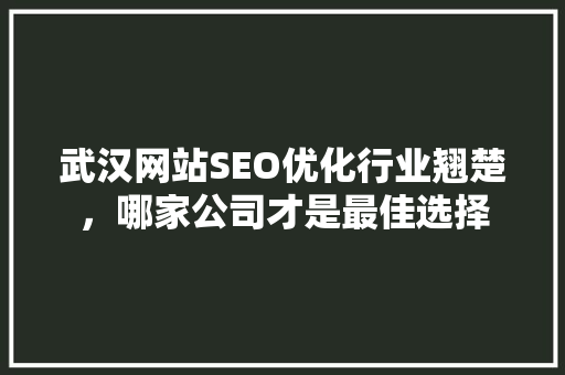 武汉网站SEO优化行业翘楚，哪家公司才是最佳选择