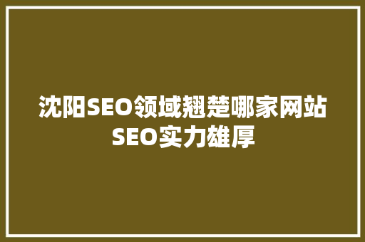 沈阳SEO领域翘楚哪家网站SEO实力雄厚